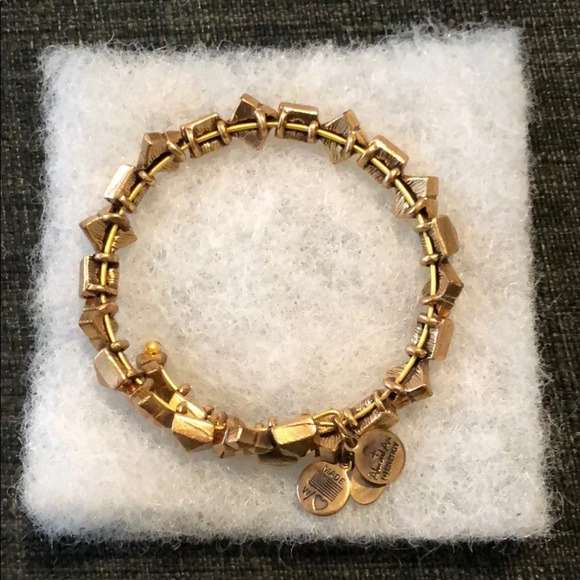 Alex and Ani Jewelry - Alex and Ani Bracelet